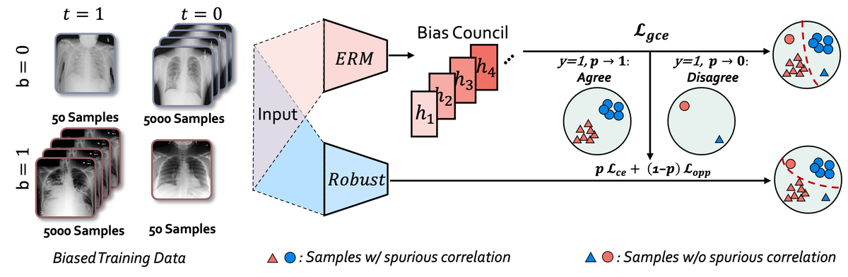 Medical Image Debiasing research figure